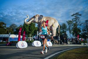 BIB: 
                            <button type="button" onclick="openModal(26541502)" class="btn btn-primary btn-sm float-right btn-popup" data-toggle="modal" data-target=".modal-high-quality">
                        <i class="fas fa-shopping-cart"></i> Add to Cart
                    </button>
                                            <button type="button" onclick="isThisMe(26541502, true)" class="btn btn-success btn-sm float-right btn-popup btn-isme hidden" data-toggle="tooltip" data-placement="bottom" title="นี่คือรูปของคุณใช่ไหม คลิกที่นี่เพื่อเอาเข้าอัลบั้ม">
                        <i class="fas fa-plus"></i> Add to album
                    </button>
                    <button type="button" onclick="isThisMe(26541502, false)" class="btn btn-warning btn-sm float-right btn-popup btn-isnotme hidden">
                        <i class="fas fa-ban"></i> Remove from album
                    </button>